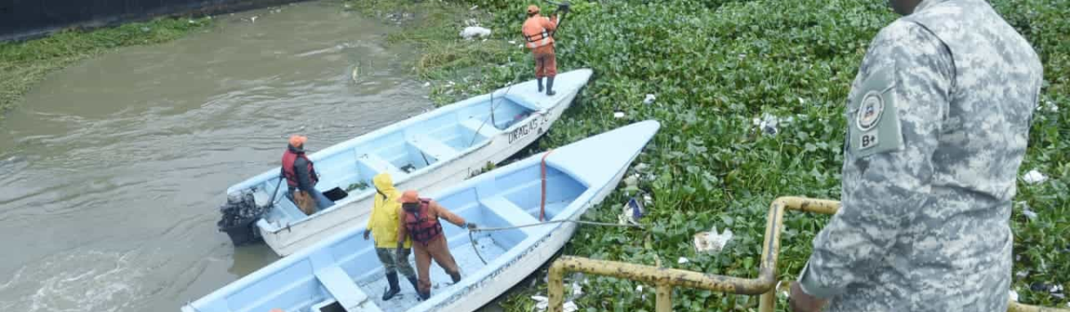 Cierran puente Flotante por acumulación de lilas