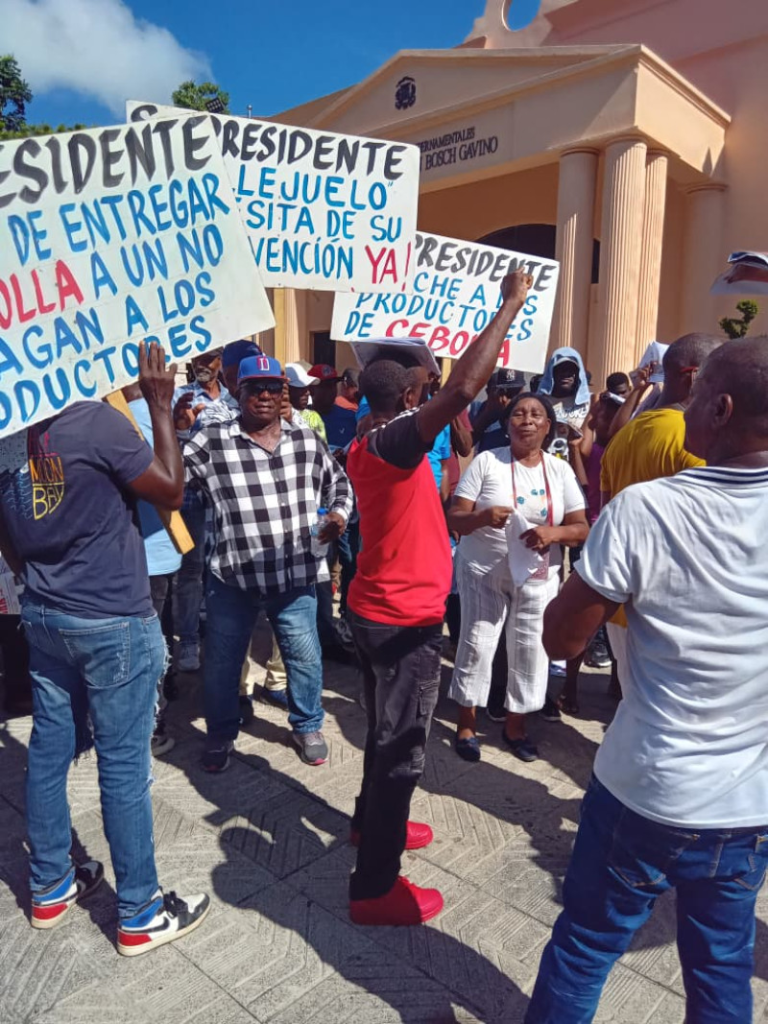 image-21-768x1024 Productores de cebolla exigen pago de RD$ 205 millones al Estado