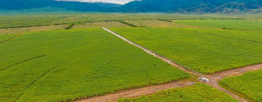 CAC niega incidir en merma de agua de la laguna de Cabral