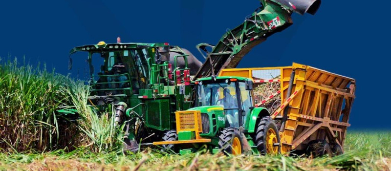 Escogen al Consorcio Azucarero como agroempresa del año 2025