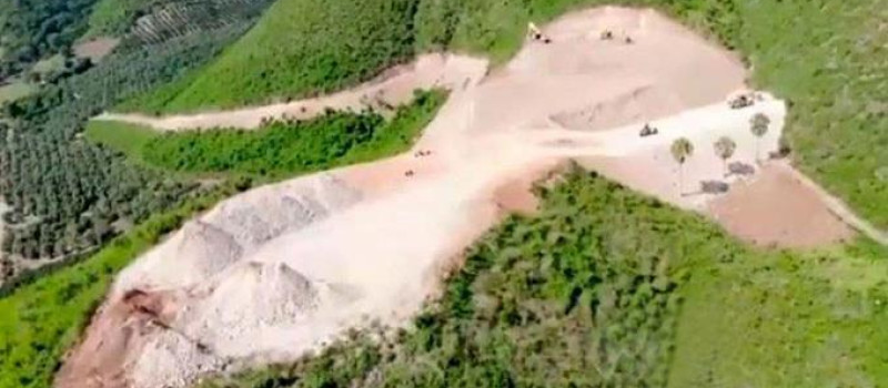 Sentencian a empresa agrícola al pago de RD$60 millones por deforestación